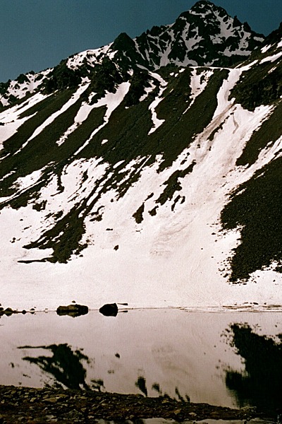 swiss 48890_08.jpg
